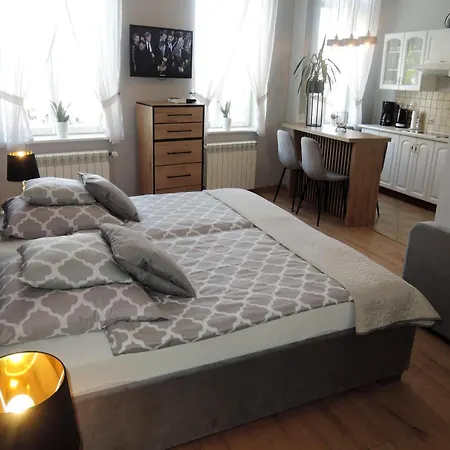 Lejlighed Mansion In Near Baltic Sea Beach, Cleaning Included